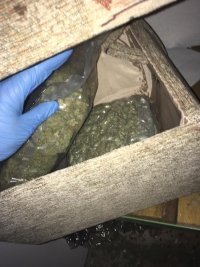Marihuana zabezpieczona przez opolskich kryminalnych