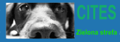 cites