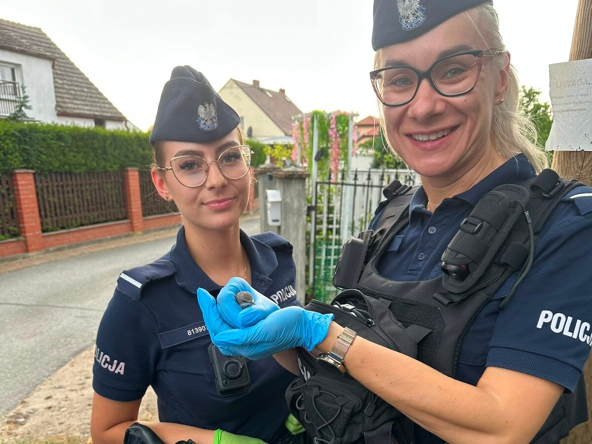 zdjęcie: policjantki