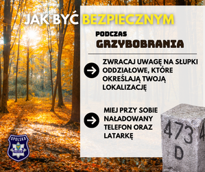 Zdjęcie przedstawia grafikę.