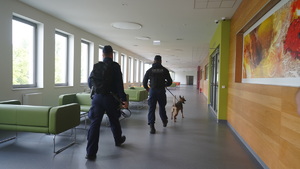 służby w trakcie ćwiczeń