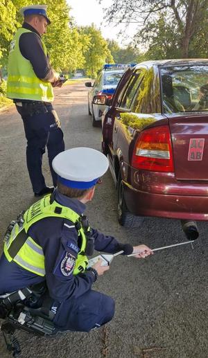 policjanci prowadzą kontrole drogowe