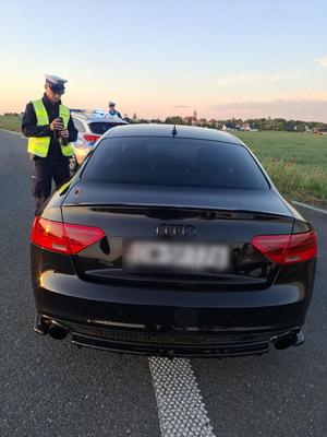 policjanci prowadzą kontrole drogowe