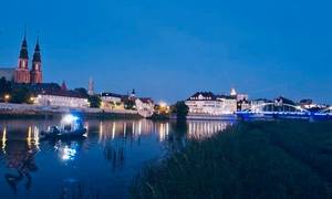 policjanci w trakcie zapewniania bezpieczeństwa w okolicach festiwalu