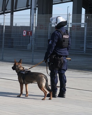 zdjęcie: policjanci podczas zabezpieczenia meczu piłki nożnej