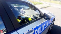 Policjant podczas kontroli drogowej