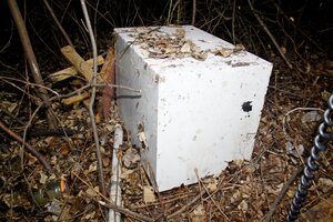 Odzyskany przez policjantów sejf skradziony w jednym ze sklepów